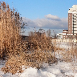 Hamburg Winter